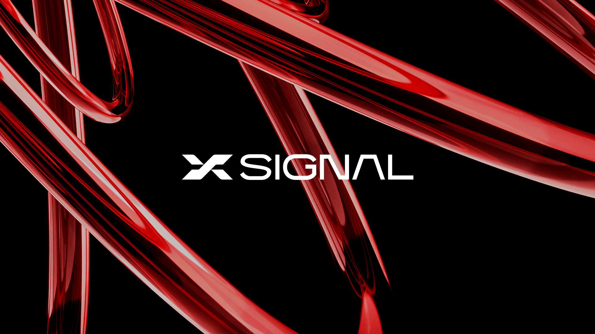 Xsignal VI原版红黑品牌视觉